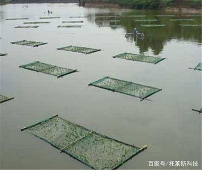 水產養殖智能監控系統 再也不用擔心成活率