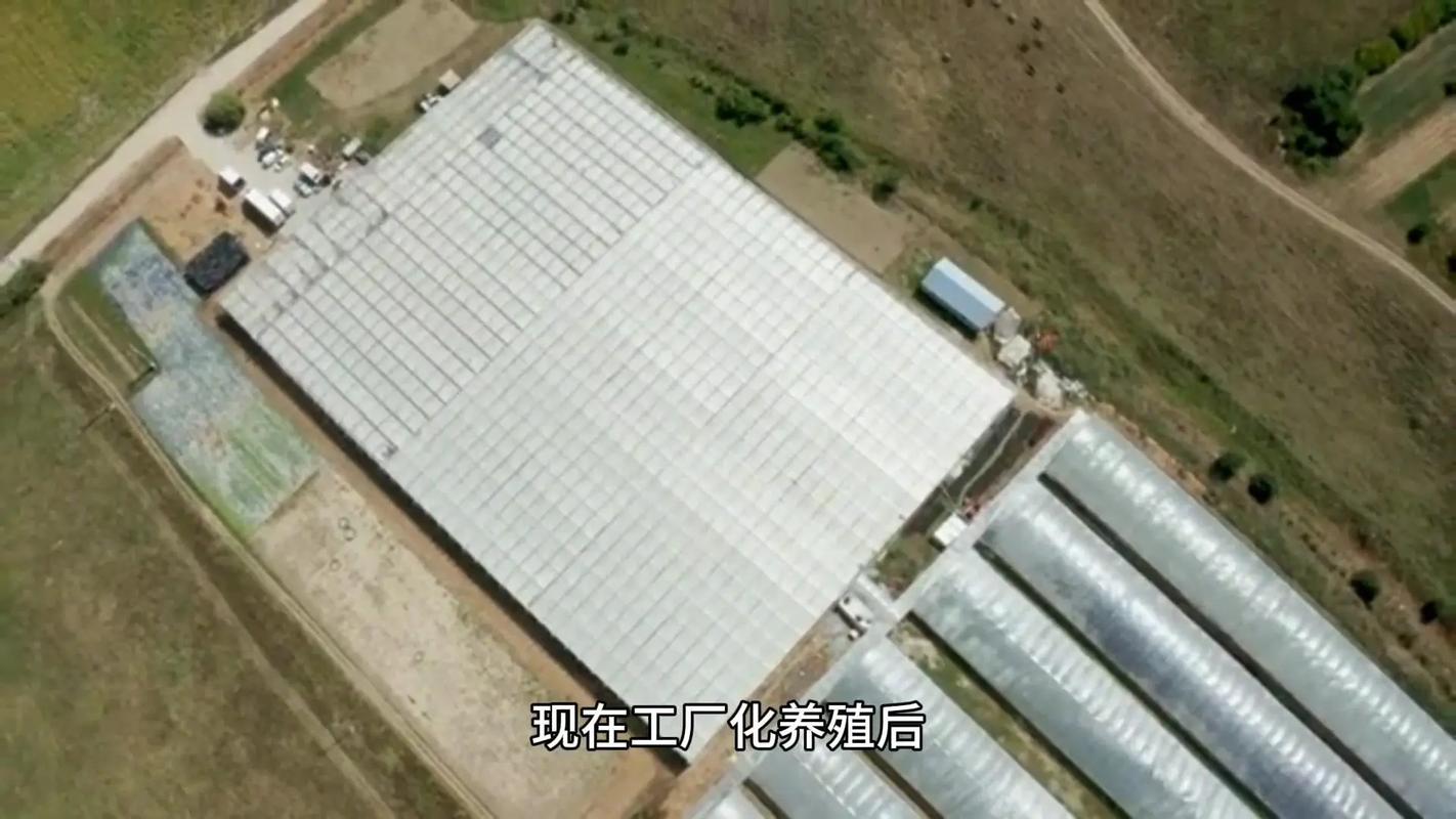 溫州首個黔羽智慧水產養殖基地建成投用，蒼南開啟水產養殖新篇章