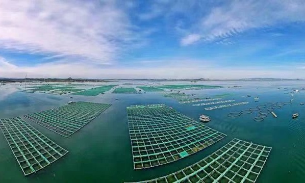 福建漳州 創(chuàng)新多樣化海水養(yǎng)殖模式，鍛造百億級(jí)現(xiàn)代漁業(yè)新格局