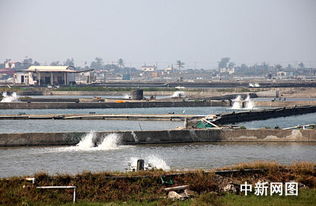 臺(tái)灣屏東縣朝清水產(chǎn)養(yǎng)殖集團(tuán)漁場(chǎng)掠影 探尋現(xiàn)代水產(chǎn)養(yǎng)殖的卓越典范